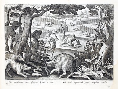A ferocious wild boar rises up in anger, dogs drive other into the waters, illustration from 